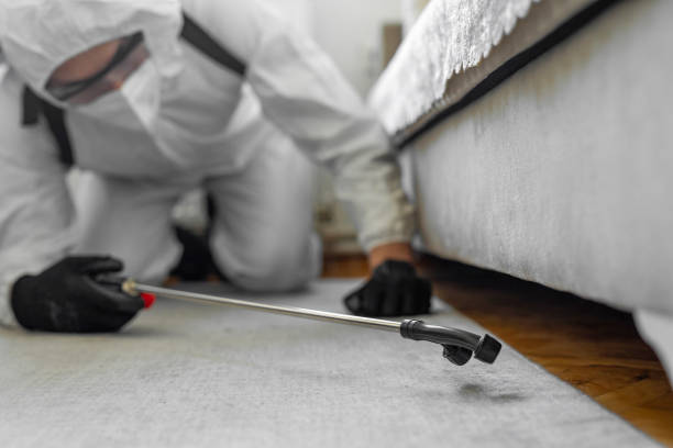 Professional Pest Control technician working in North Druid Hills, GA