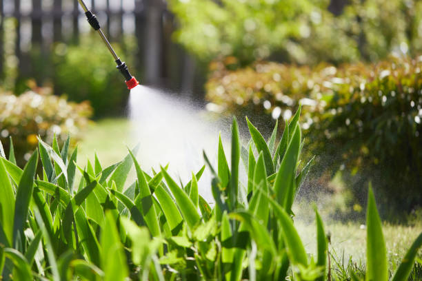 24/7 Emergency Mosquito Control experts in North Druid Hills, GA