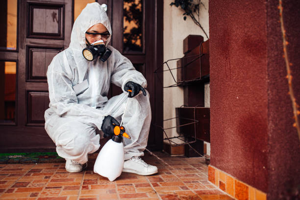 Reliable Mosquito Control contractor in North Druid Hills, GA by Nex Pest Control