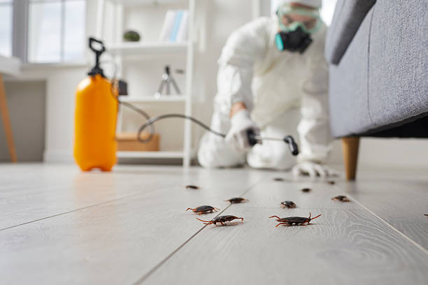 Trusted Termite Control service in North Druid Hills, GA - Nex Pest Control